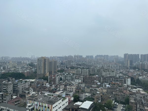 【多图】中洲嘉兴大厦,市桥租房,中洲公馆一房一厅两卫出租,南北对流