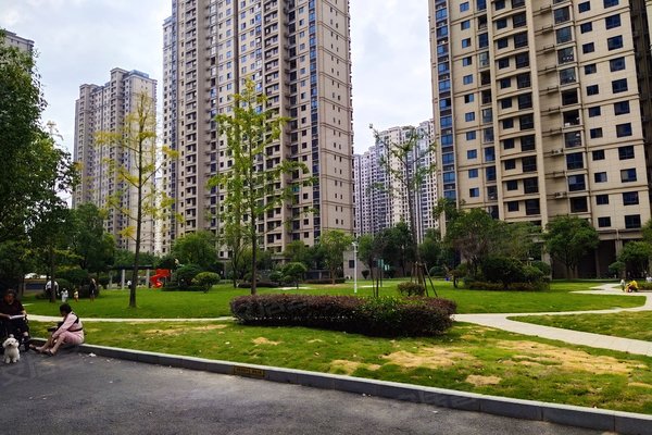 碧桂园银座小区