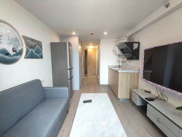 广州增城新塘永荟广场永荟广场网红简约主题风复式单身公寓上下层出租