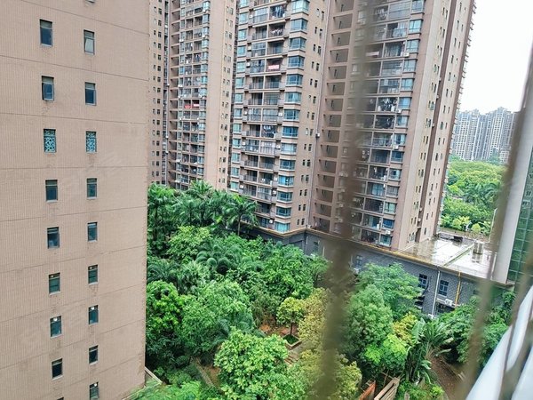 惠州惠阳淡水中心区东岸公馆沙田地铁站3公里范围以内花园洋房业主