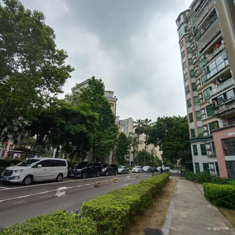 银石雅园1室1厅1卫50㎡南110万