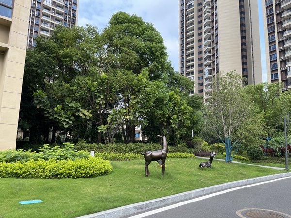 珠海香洲南屏碧桂园华发香洲府新上好房 碧桂园 华发香洲府 精装高