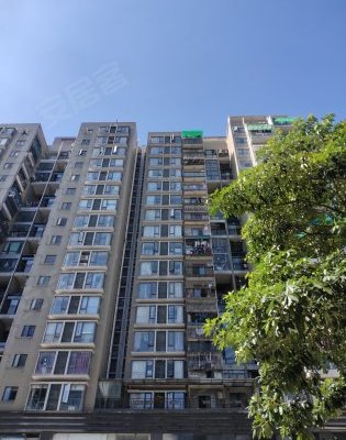 深圳小区 宝安小区 新安小区 上合花园 上合花园怎么样发布于2020年12