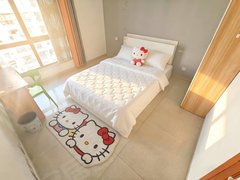 合肥包河马鞍山路实图实价 月付 有厨房可做饭 ，电梯房，银联广场，绿地赢海出租房源真实图片