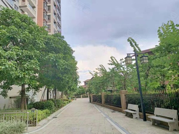 【多图】实地常春藤,经济开发区租房,有点贵,但是物超所值 全齐,拎包