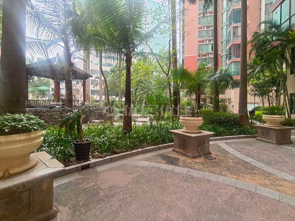 【多图】金湖湾,五象广场租房,金湖广场 水晶城旁 金湖湾 精装四房 近