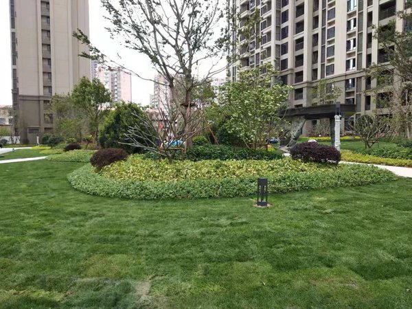 泉州惠安黄塘镇中骏珑景阁实拍 中骏珑景阁3期毛坯出租1500元可议价
