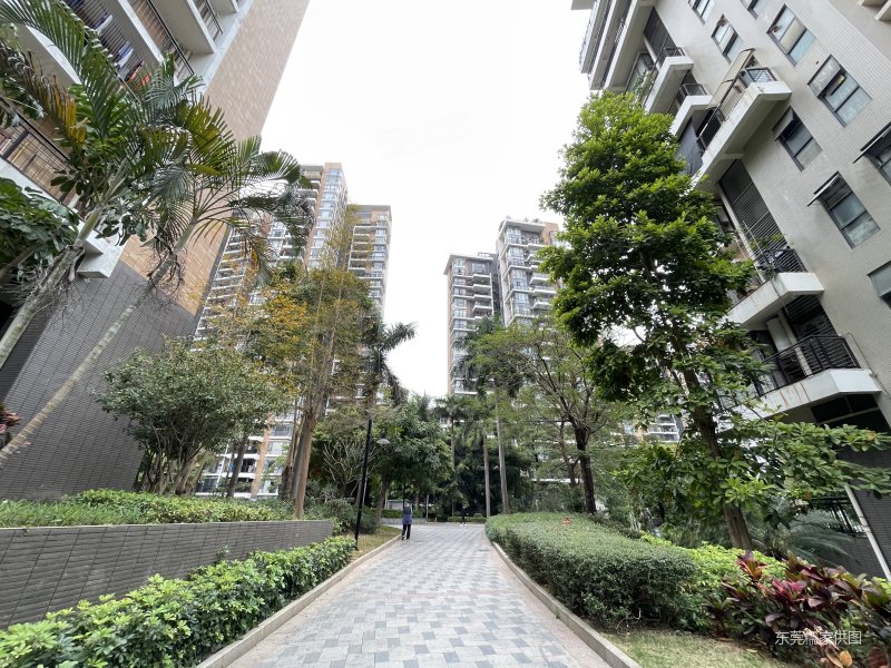 景湖春晓 近医院 产权清晰 精装可拎包入住 大两居 电梯房