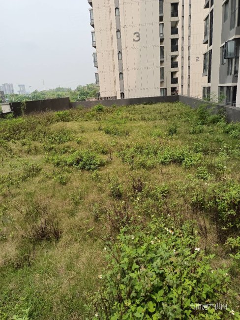 送1000平米露台 万象府三房两卫 花园菜园球场烧烤场都有了