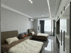 德清德清市区奥体中心浙工大旁 莫干山研究院公寓 一室一厅 停车方便 免费试住出租房源真实图片