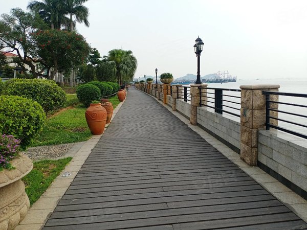 东莞虎门南栅长堤1号虎门南栅长堤一号东南朝向高楼层看海景3房出租