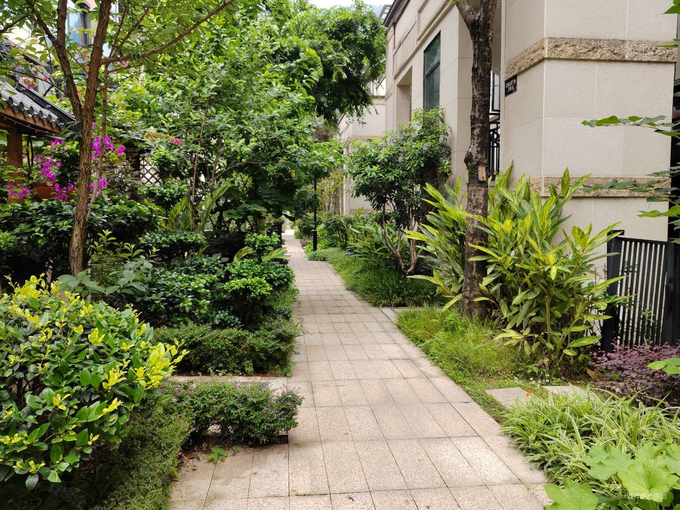 联发龙洲湾1号bd区