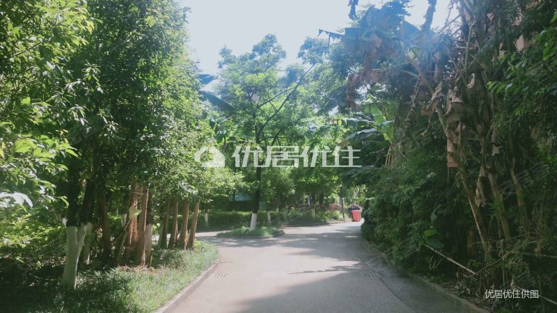 中天花园 电梯房 110平 精装 朝向东 看房方便 有钥匙