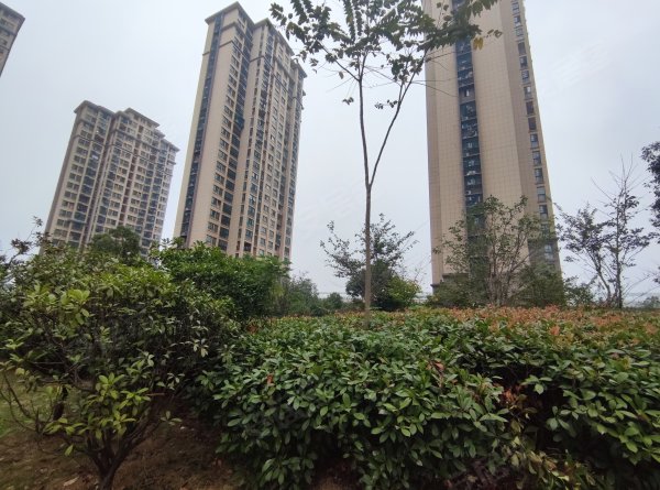 京冠北城华府西区