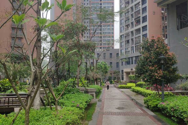 泉州小区 晋江小区 桥南片区小区 新加坡城