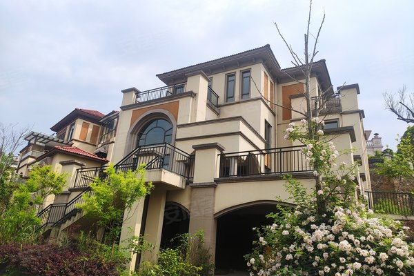 卓越麓山别墅别墅