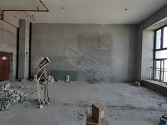 泉州丰泽东海湾泰禾首玺(商住楼) 1室0厅0卫  电梯房 56平米出租房源真实图片