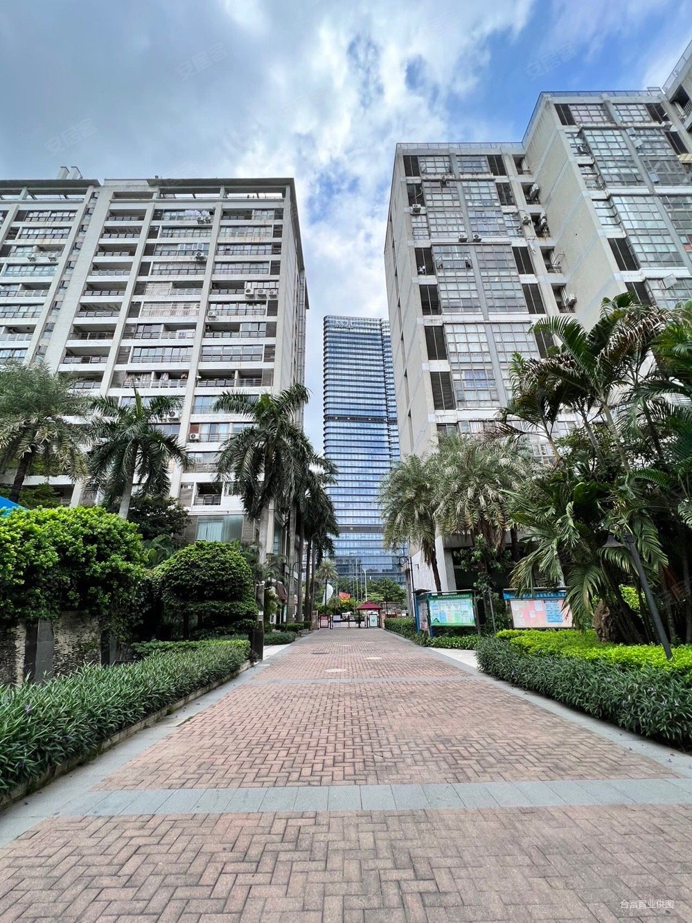 欢迎约看琶洲世港花园120平方正四方原装电梯楼