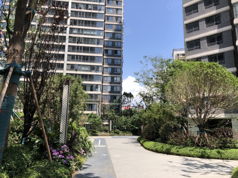 超低140万!入住1903度假区!加送车位!龙湖御景