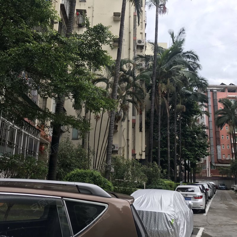 【金豪花园, 金豪花园小区详情,房价走势,房源,业主论坛】- 深圳58