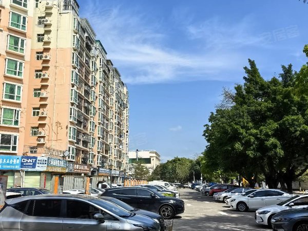 【多图】锦城星苑,龙岗中心城租房,龙岗新生 锦城星苑7房2厅3卫 办公