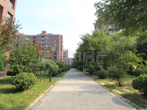 【多图】北京香颂,望京租房,北京香颂 2室2厅1卫 90平 配套齐全 电梯