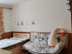 哈尔滨道外太平桥哈工程新乐小区一室一厅出租1000出租房源真实图片