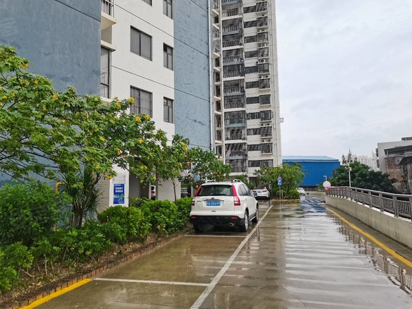 南宁兴宁东沟岭梧桐苑(兴宁)3号地铁口澳华花园旁梧桐苑小区电梯精美