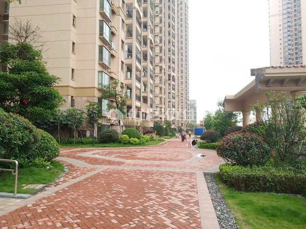 南宁青秀凤岭北维也纳森林凤岭儿童公园旁~精装三房,诚心出租,中间