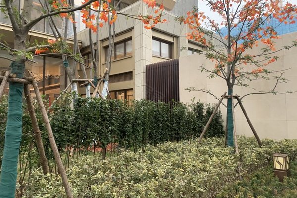 金融街壹号,黄浦大街-武汉金融街壹号二手房,租房-武汉安居客