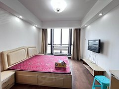 嘉兴南湖南湖街道巴黎都市 老佛爷购物中心 妇保院 民用水电 精装修出租房源真实图片