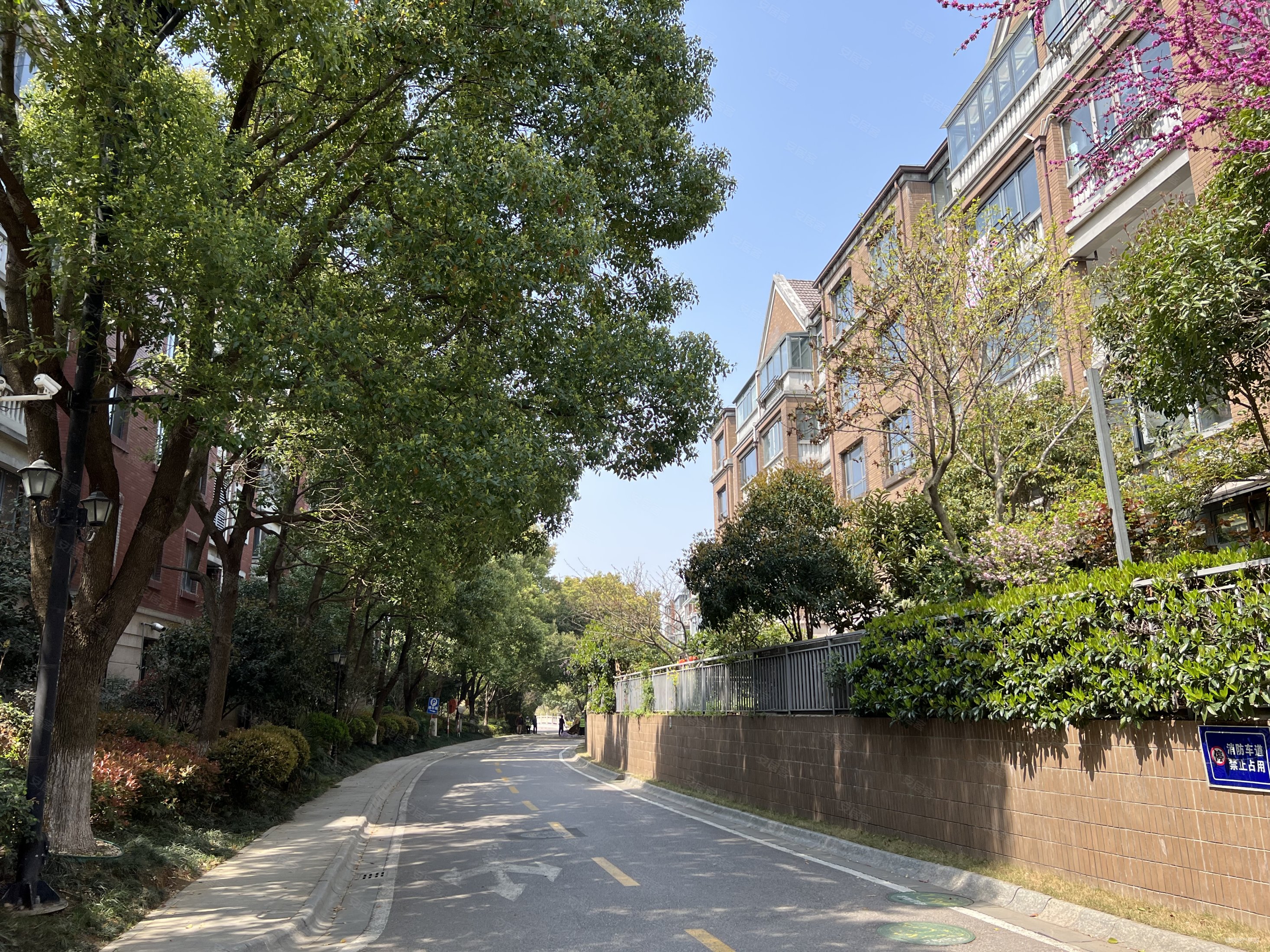 孝陵卫地铁紫金南苑带电梯环境好银城东苑12房龄全明