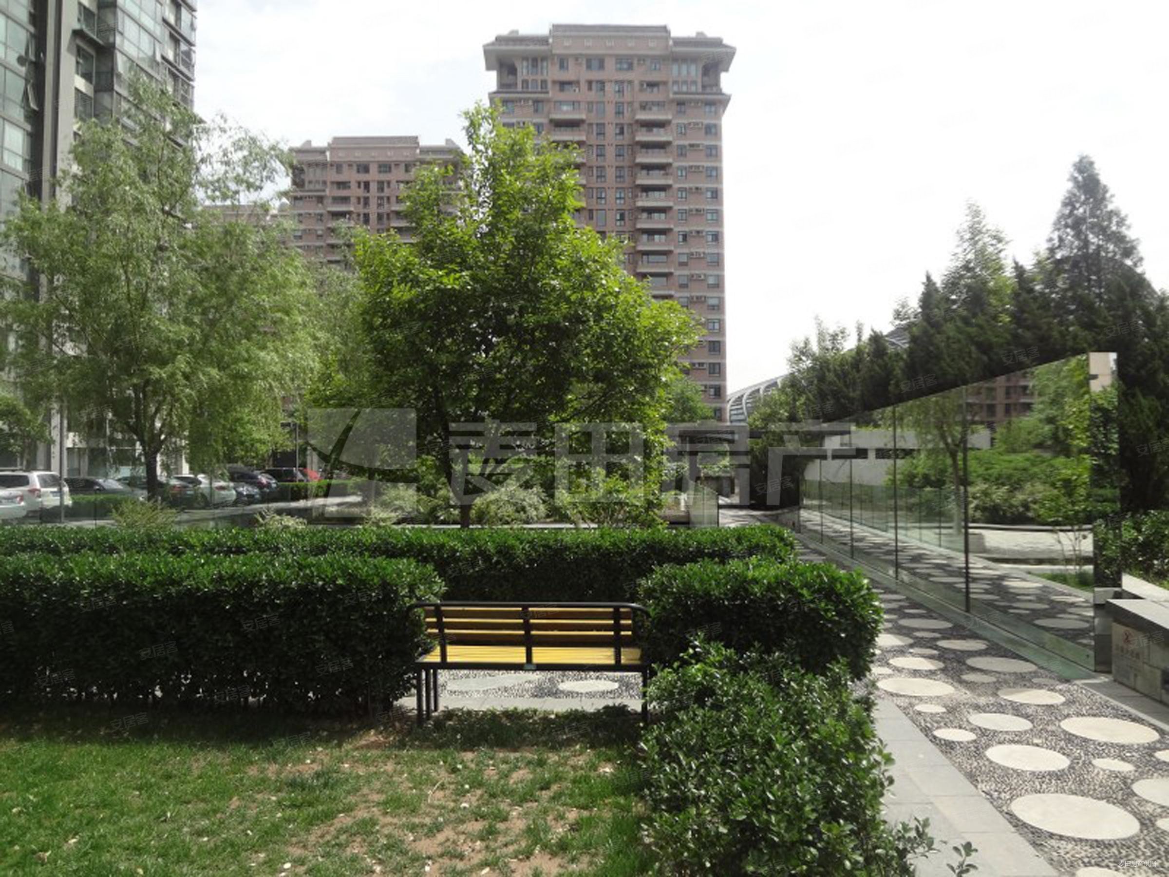 从业10年博雅园高层景观3居室大落地窗四周不临街