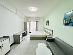 东莞东城世博广场900元东城万达广场旁押一付一，电梯入户大单间，家私家电齐全出租房源真实图片