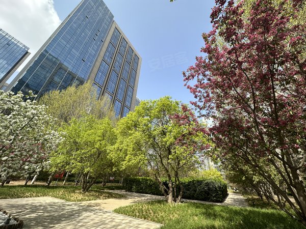 北京大兴亦庄林肯公园(b区)无虚假 林肯公园b区  小区 配置齐全 高层