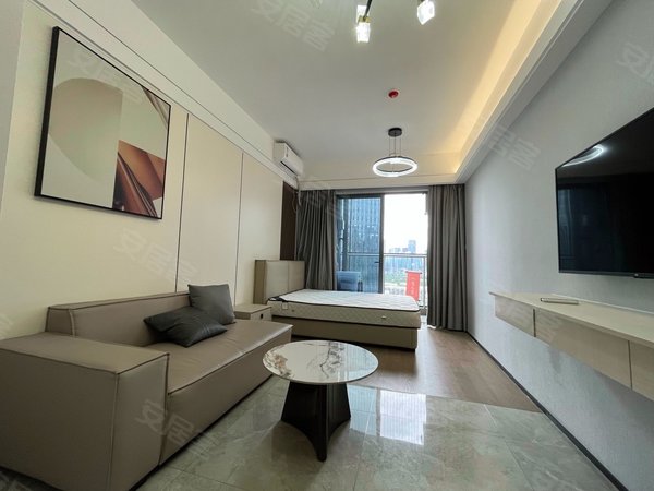 深圳南山前海远洋滨海大厦南山中心区 荔林地铁站 单身公寓 一房一厅