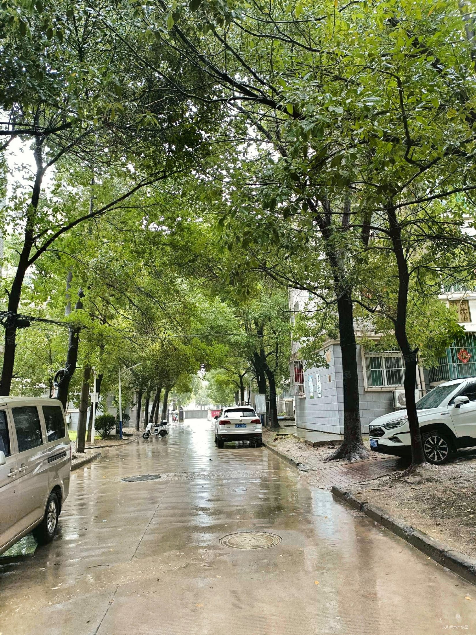 新上包河苑精装2房正南业主置换诚售随时看房