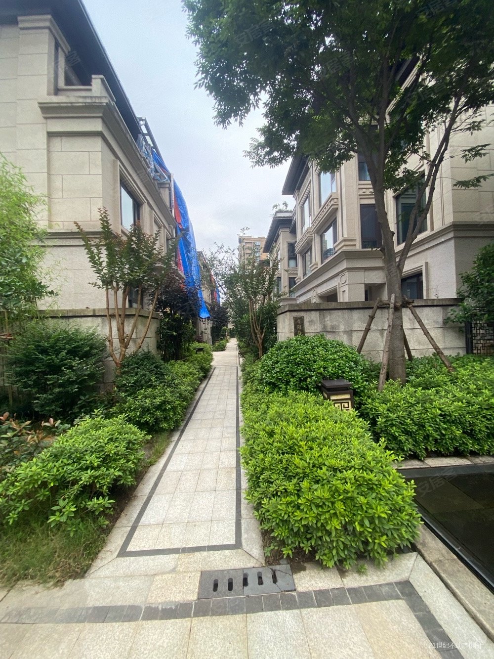 中梁首府壹号院(别墅)4室2厅3卫155㎡南630万