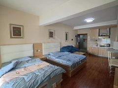 湖泉湾一号精装一室湖景房  两张床带空调被子可短租