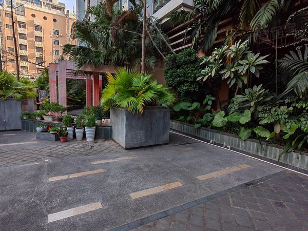 深圳龙华龙华丹枫雅苑中英文学校 新华中学 丹枫雅苑 空中花园小区 双