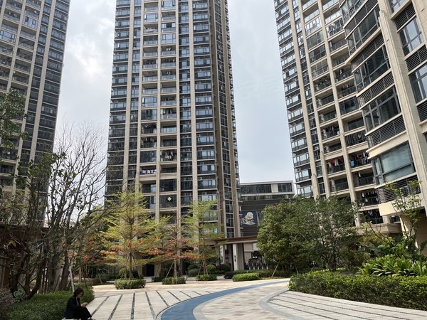 深圳龙岗坪地创城丁山河畔位置好,光线好,干净卫生整洁出租房源真实