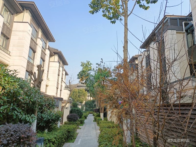 张江南保利艾庐下叠墅豪华装修含品牌家具带大花园