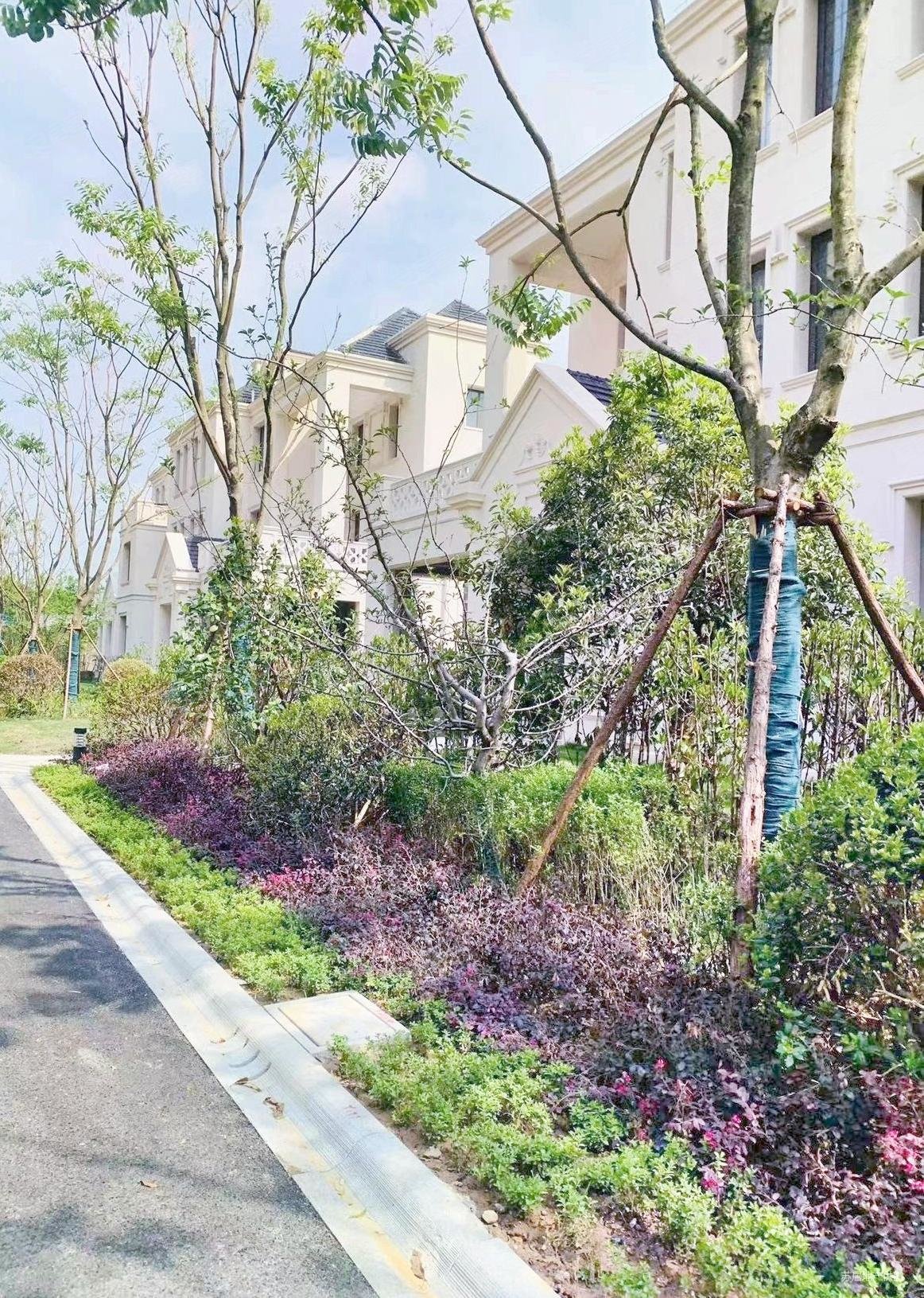 金峰又一城南区