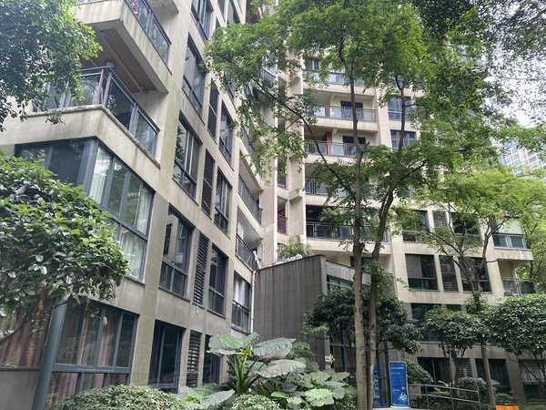 重庆南岸弹子石龙湖郦江南岸区 龙湖郦江 四房 3500元月出租房源真实