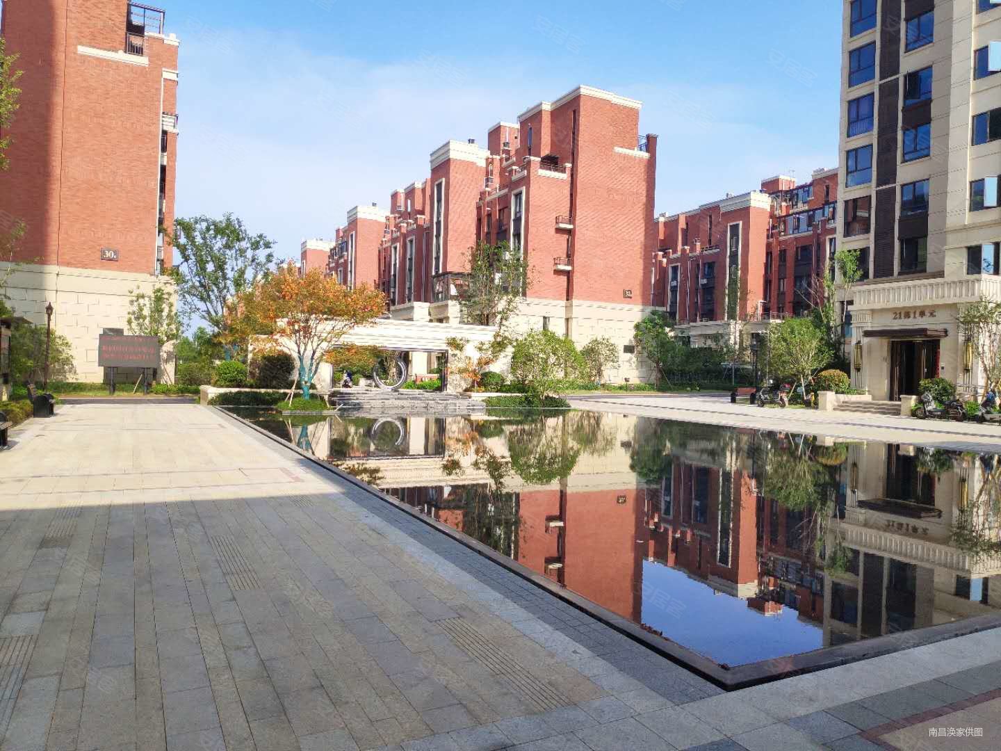中海阳光玫瑰园