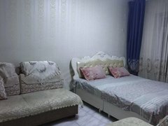 哈密伊州时代广场铁28街60平5楼，家具家电，每月900元出租房源真实图片