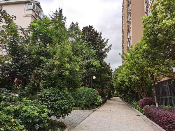 云大旁万景园96平 2室2厅 空房 明厨明卫 看房有钥,官渡租房-昆明58