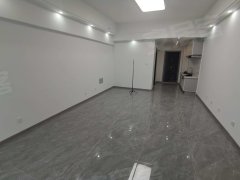 汉唐新都汇 1室0厅1卫  电梯房 精装修50平米