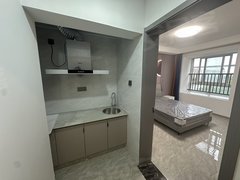上海嘉定嘉定城区马陆工业区 中医医院 申霞路 唐家苑朝南大主卧 独立厨卫出租房源真实图片