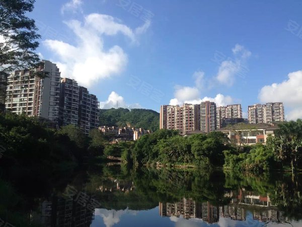 星河丹堤b区豪装洋房,奢华装修,家私电齐,拎包入住,看房方便,龙华租房